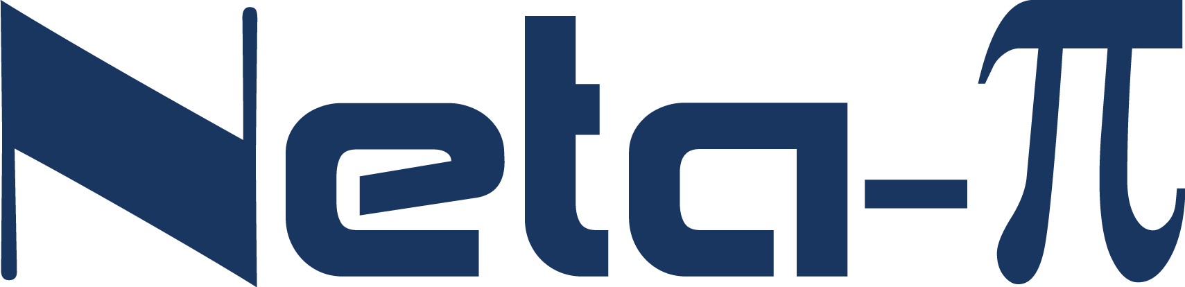 neta-pi-logo-B
